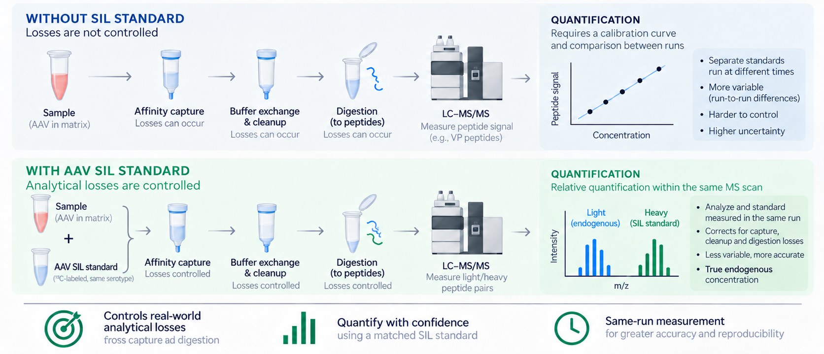 Two-track comparison of an AAV quantification workflow by LC-MS/MS. Top track, without a stable isotope-labeled standard: the sample passes through affinity capture, buffer exchange and cleanup, and digestion to peptides, with losses possible at each step, and is then measured by LC-MS/MS against a calibration curve built from separate standards run at different times — more variable between runs, harder to control, higher uncertainty. Bottom track, with an AAV stable isotope-labeled standard: the labeled standard is added to the sample before affinity capture, so losses at capture, cleanup and digestion are shared by analyte and standard, and LC-MS/MS measures light and heavy peptide pairs within the same scan, correcting for those losses and yielding the endogenous concentration from a single run.